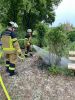 Brand 1